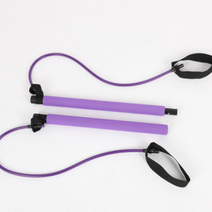 Chest Expander Puller