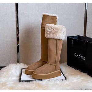 Women's Long Snow Winter Fleece-lined Thickened New Platform Cotton Shoes Below The Knee Long Boots