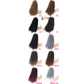 1B 27 Color