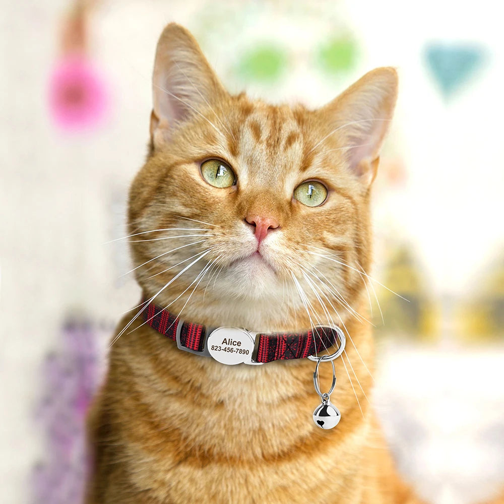 Printed Cat Collar Adjustable Kitten Puppy Collars With Free Engraved ID Nameplate Bell