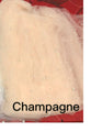 Champagne