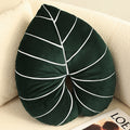 Philodendron